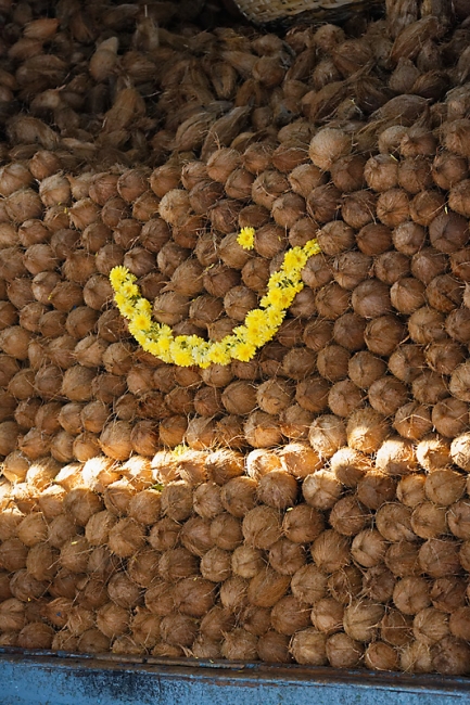 Mysore-Le marché-028
